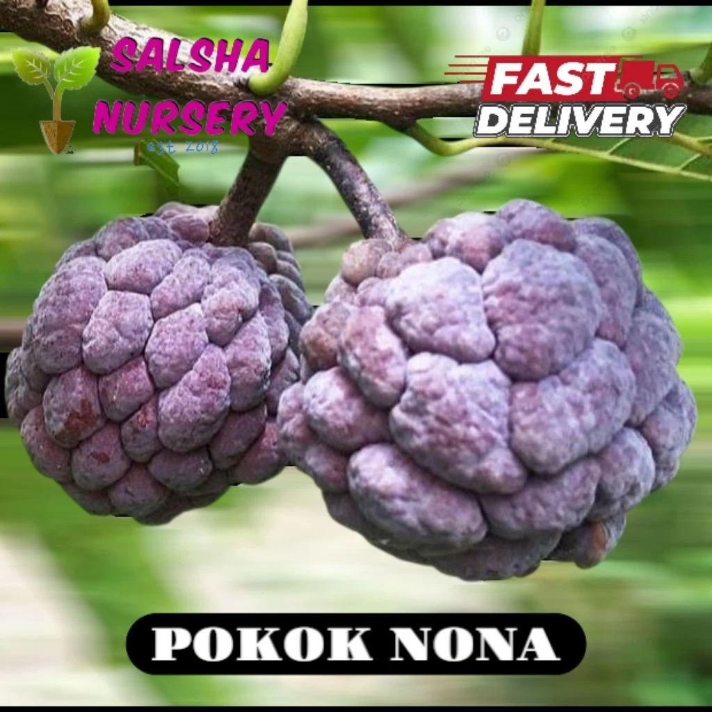Anak Pokok Nona Sri Kaya
